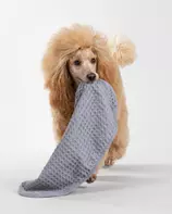  Paikka Håndkle, Grå - 30x50cm