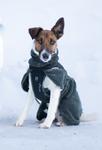 Non-stop Wool Dog Jacket - Grønn (44-3109-15000625558)