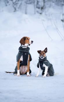 Non-stop Wool Dog Jacket - Grønn (44-3109-15000625558)