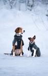 Non-stop Wool Dog Jacket - Grønn (44-3109-15000625558)