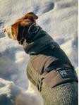 Non-stop Wool Dog Jacket - Grønn (44-3109-15000625558)