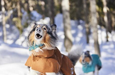 Hurtta Monsoon Regndekken ECO - Brun (16-H934627-1500033608)