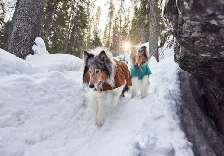 Hurtta Monsoon Regndekken ECO - Brun (16-H934627-1500033608)