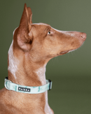 Paikka Glow Halsbånd - Grønn Marmor (120-1035012-1500052639)