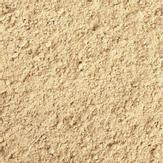 Tropical Gecko Cream Aprikos - 100ml (18-260.4000)