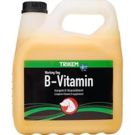  Trikem WD B-Vitamin - 3L