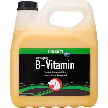 Trikem Trikem WD B-Vitamin - 3L (18-721.2023)