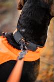Non-stop Protector Halsbånd - Orange (44-14171)