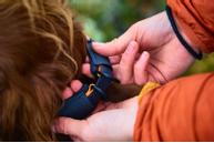 Non-stop Protector Halsbånd - Orange (44-14171)