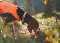 Non-stop Protector Halsbånd - Orange (44-14171)