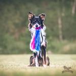 Doggie-Zen Doggie-Zen Blekksprut Hundeleke i Fuskepels 3 Armer - 120cm (33-7012)