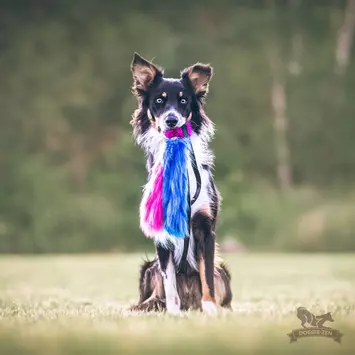  Doggie-Zen Blekksprut Elastisk Hundeleke i Fuskepels 3 Armer - 120cm