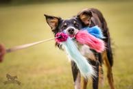 Doggie-Zen Blekksprut Elastisk Hundeleke i Fuskepels 3 Armer - 120cm (33-7013)