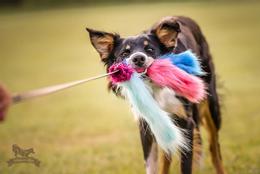 Doggie-Zen Doggie-Zen Blekksprut Hundeleke i Fuskepels 3 Armer - 120cm
