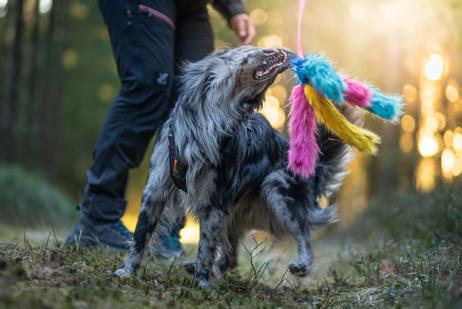 Doggie-Zen Blekksprut Hundeleke i Fuskepels 5 Armer - 120cm (33-7345)