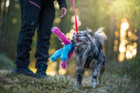 Doggie-Zen Blekksprut Hundeleke i Fuskepels 5 Armer - 120cm (33-7345)