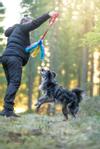 Doggie-Zen Doggie-Zen Blekksprut Hundeleke i Fuskepels 5 Armer - 120cm (33-7345)