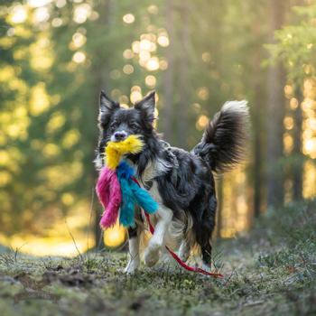 Doggie-Zen Doggie-Zen Blekksprut Hundeleke i Fuskepels 5 Armer - 120cm (33-7345)