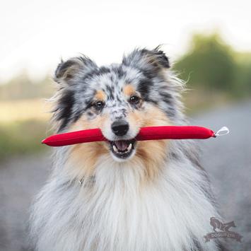  Doggie-Zen Minidummy