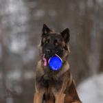 Doggie-Zen Doggie-Zen Sure Grip Orbee-Tuff Planet Ball Hundeleke - L (33-7415)