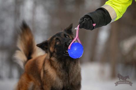 Doggie-Zen Sure Grip Orbee-Tuff Planet Ball Hundeleke - L (33-7415)