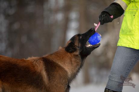 Doggie-Zen Sure Grip Orbee-Tuff Planet Ball Hundeleke - L (33-7415)