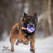 Doggie-Zen Doggie-Zen Sure Grip Orbee-Tuff Planet Ball Hundeleke - L