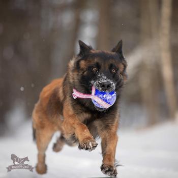 Doggie-Zen Doggie-Zen Sure Grip Orbee-Tuff Planet Ball Hundeleke - L (33-7415)