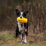 Doggie-Zen Doggie-Zen Korthåret Elastisk Belønningsleke i Fuskepels - L