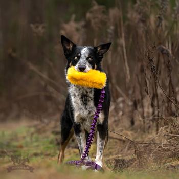 Doggie-Zen Doggie-Zen Korthåret Elastisk Belønningsleke i Fuskepels - L (33-7049)