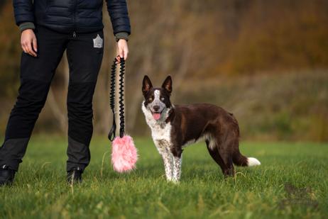 Doggie-Zen Langhåret Elastisk Belønningsleke i Fuskepels - L (33-7050)