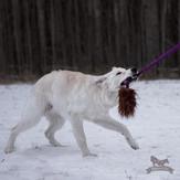Doggie-Zen Langhåret Elastisk Belønningsleke i Fuskepels - L (33-7050)