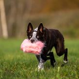 Doggie-Zen Langhåret Elastisk Belønningsleke i Fuskepels - L (33-7050)