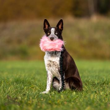  Doggie-Zen Langhåret Elastisk Belønningsleke i Fuskepels - L