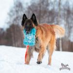 Doggie-Zen Doggie-Zen Langhåret Elastisk Belønningsleke i Fuskepels - XL (33-7054)