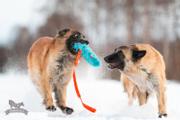 Doggie-Zen Doggie-Zen Korthåret Elastisk Belønningsleke i Fuskepels - XL (33-7053)