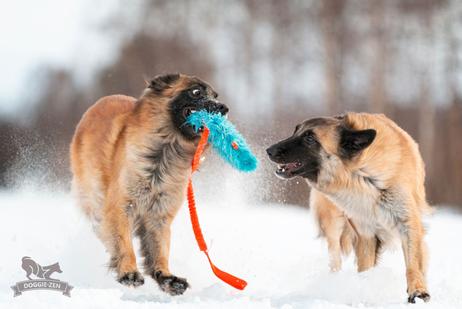 Doggie-Zen Langhåret Elastisk Belønningsleke i Fuskepels - XL (33-7054)