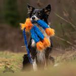 Doggie-Zen Doggie-Zen Elastisk Blekksprut Hundeleke i Fuskepels - 70cm (33-7303)