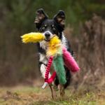 Doggie-Zen Doggie-Zen Elastisk Blekksprut Hundeleke i Fuskepels - 70cm (33-7303)