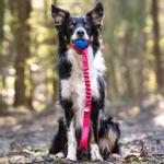 Doggie-Zen Doggie-Zen Elastisk Chuckit Crunch Hundeleke - 45cm (33-7361)