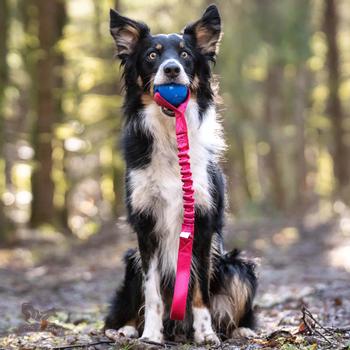 Doggie-Zen Doggie-Zen Elastisk Chuckit Crunch Hundeleke - 45cm (33-7361)