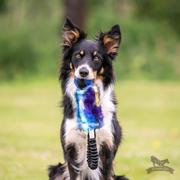 Doggie-Zen Doggie-Zen Elastisk Hundeleke med KONG Squeezz Ball - 33cm