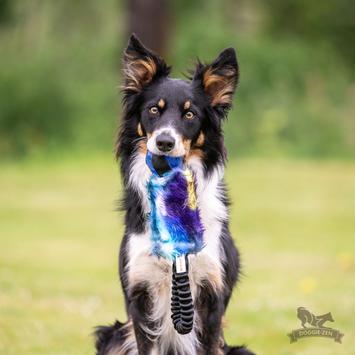 Doggie-Zen Elastisk Hundeleke med KONG Squeezz Ball - 33cm (33-7208)