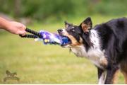 Doggie-Zen Doggie-Zen Elastisk Hundeleke med KONG Squeezz Ball - 33cm (33-7208)