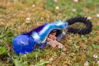 Doggie-Zen Elastisk Hundeleke med KONG Squeezz Ball - 33cm (33-7208)