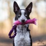 Doggie-Zen Elastisk Hundeleke med Fuskepels - 30cm (33-7166)