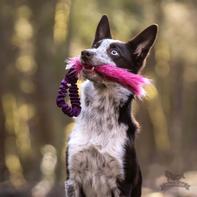  Doggie-Zen Elastisk Hundeleke med Fuskepels - 30cm