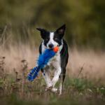 Doggie-Zen Doggie-Zen Elastisk Hundeleke med Fuskepels og Chuckit Ball - 32cm (33-7171)