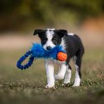 Doggie-Zen Doggie-Zen Elastisk Hundeleke med Fuskepels og Chuckit Ball - 32cm (33-7171)