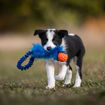 Doggie-Zen Doggie-Zen Elastisk Hundeleke med Fuskepels og Chuckit Ball - 32cm (33-7171)
